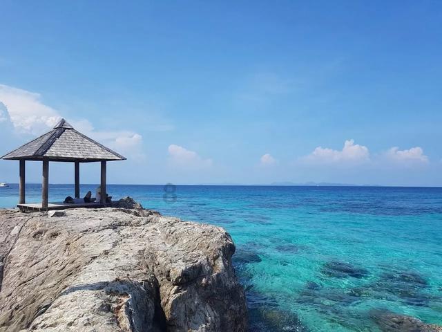 逃离潮湿的房屋